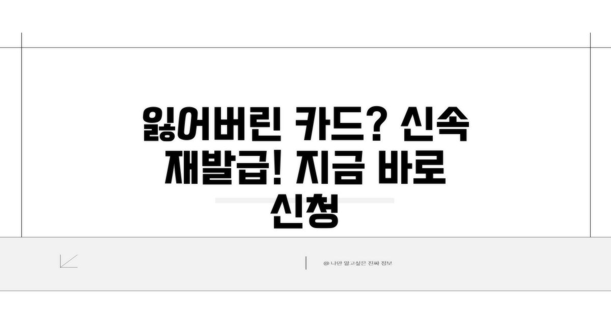 잃어버린 카드, 신속하게 재발급