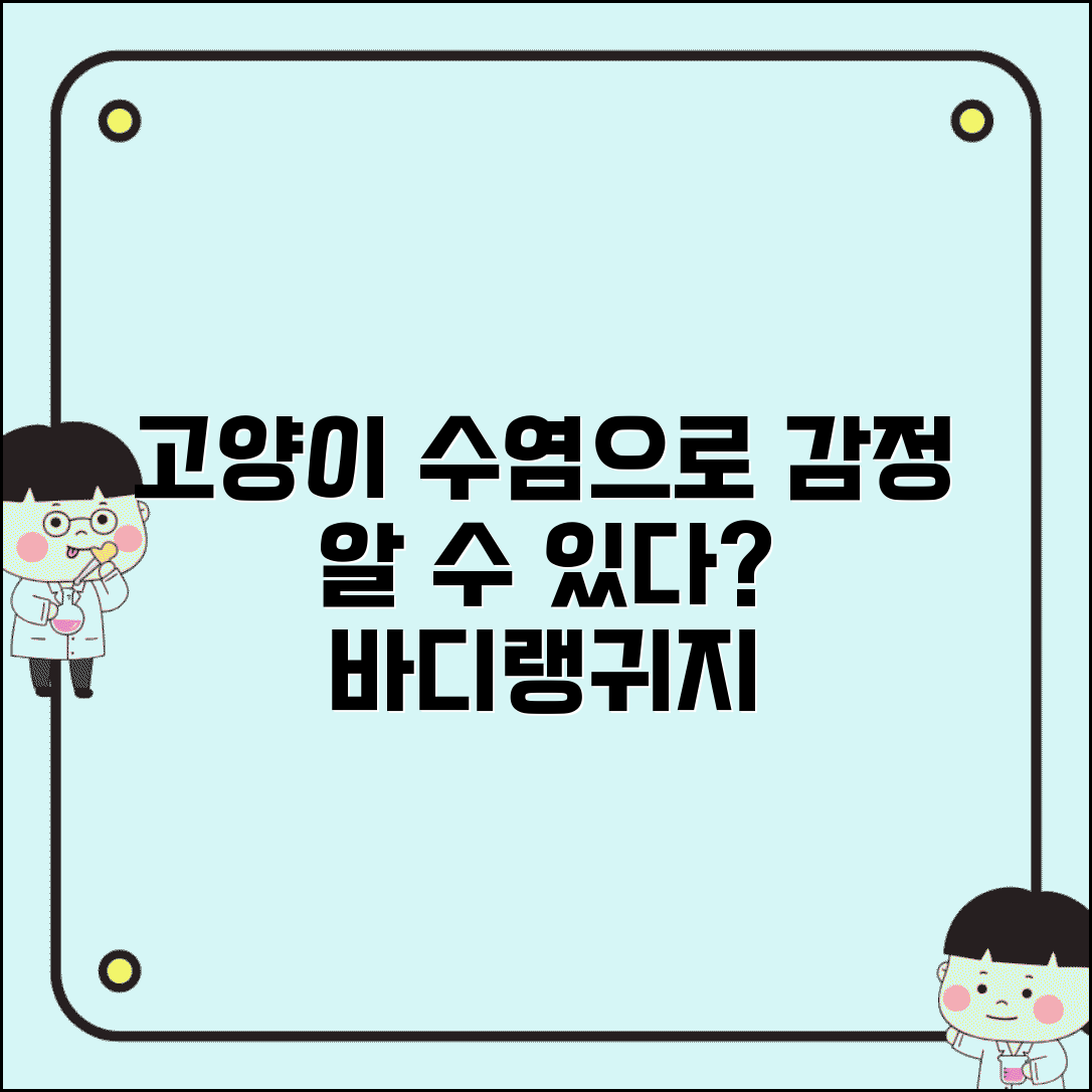 고양이 수염으로 기분 알 수 있나요 | 고양이 수염 | 감정 | 바디랭귀지