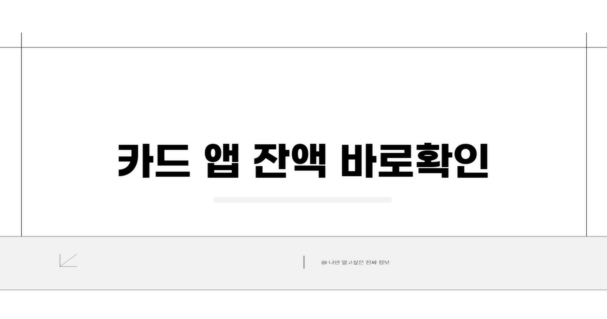 카드사 앱으로 잔액 직접 확인하기