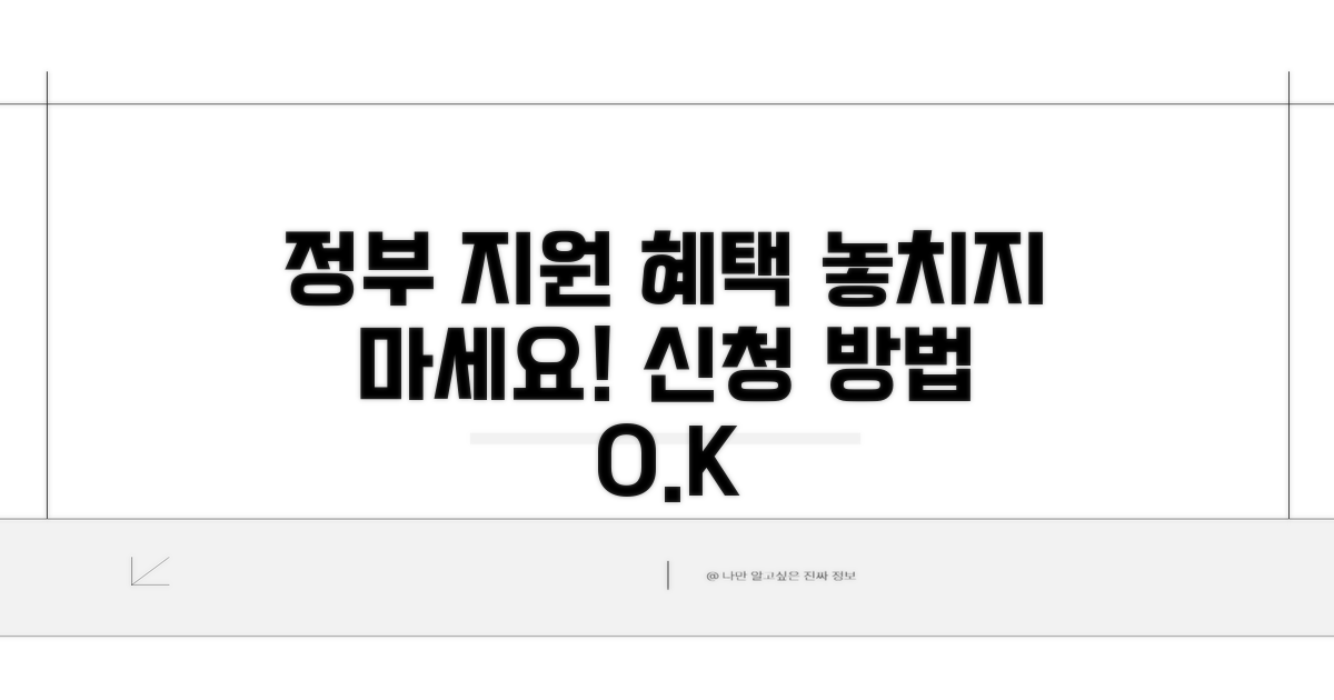 정부 지원 혜택, 신청 절차
