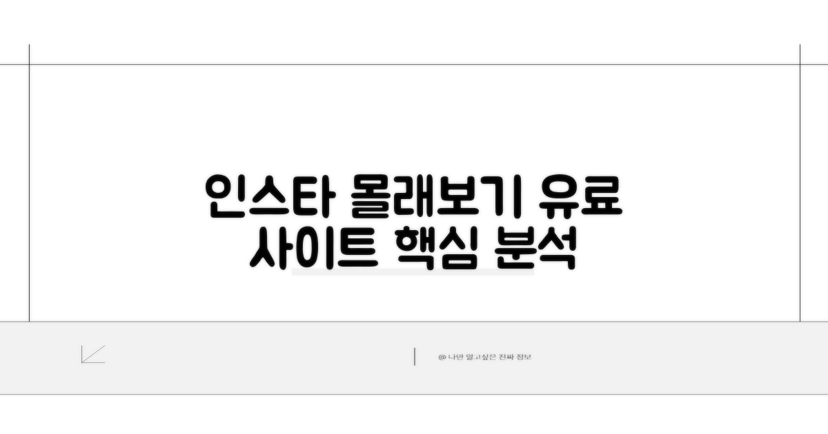 인스타 몰래보기 유료 사이트 핵심 분석