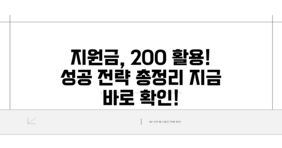 성공적인 지원금 활용 전략