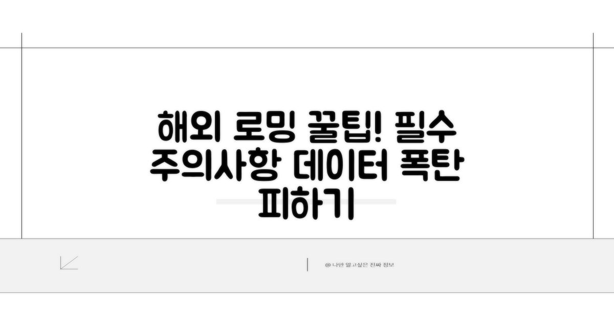 해외 로밍 시 꼭 알아둘 주의사항