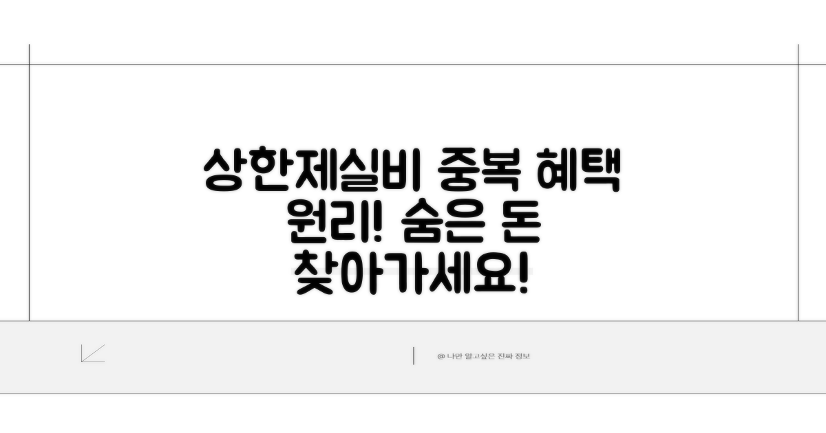 상한제와 실비보험 중복 혜택 원리