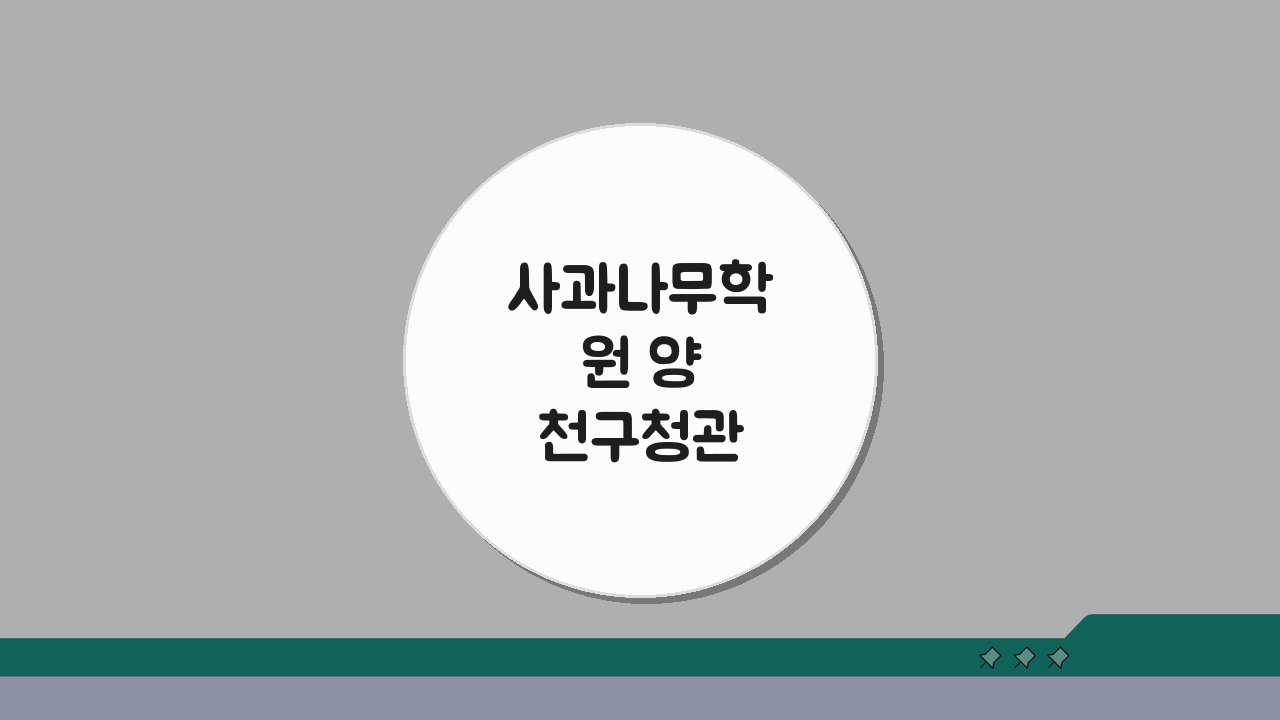 사과나무학원 양천구청관 내신대비 중간고사 기말고사 시험특강, 성적 향상 비법 공개
